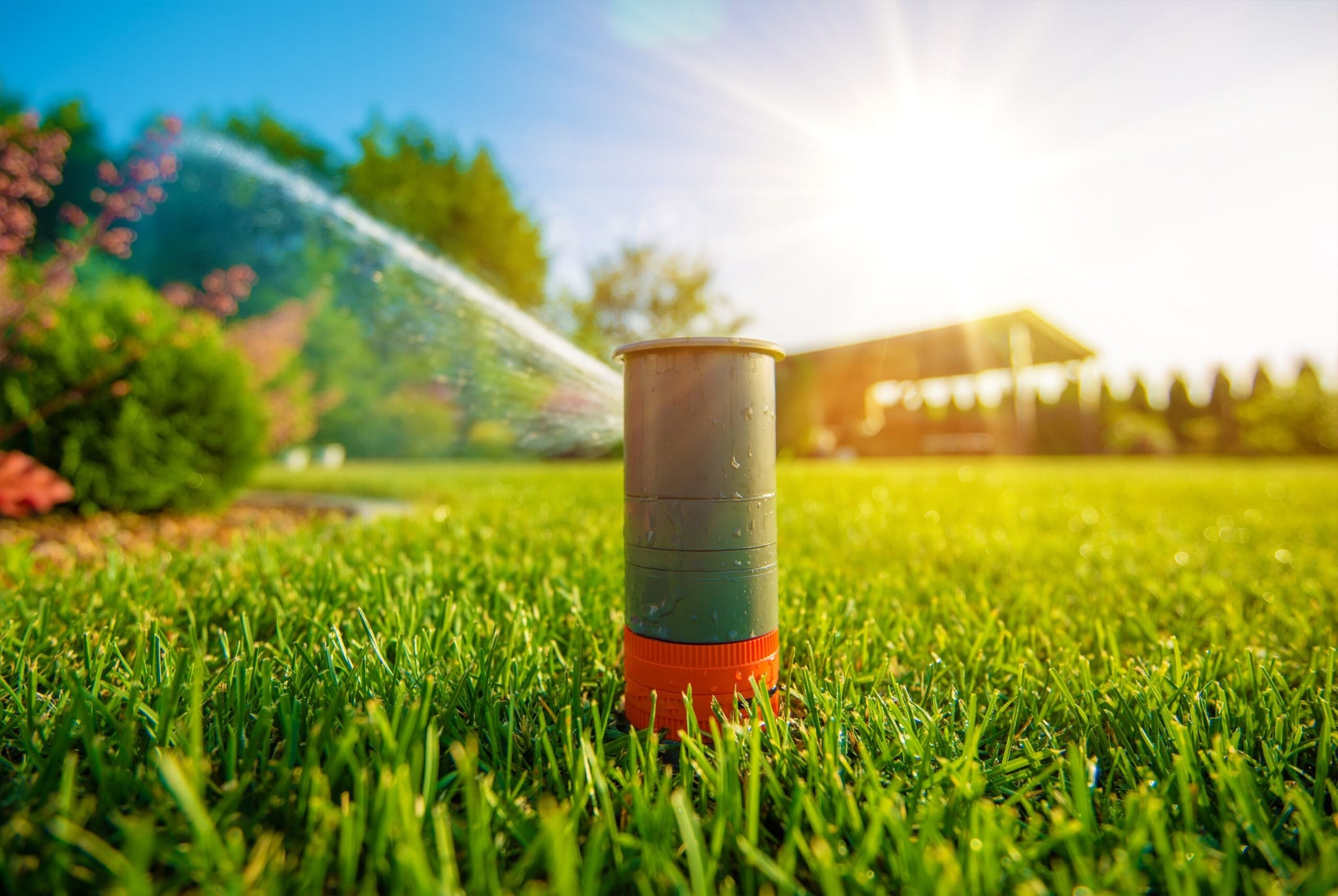 Expert Drainage Services in Springtown , TX Designed for Lasting Landscape Success