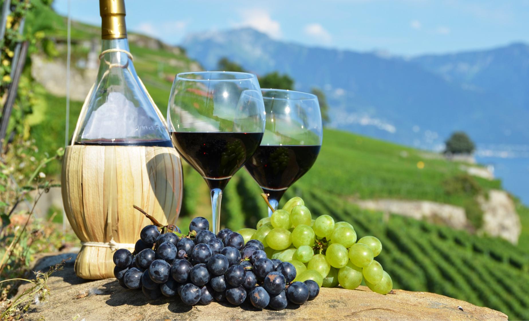 Langley Wine Tours Reimagined with Wine Tour Limo Packages