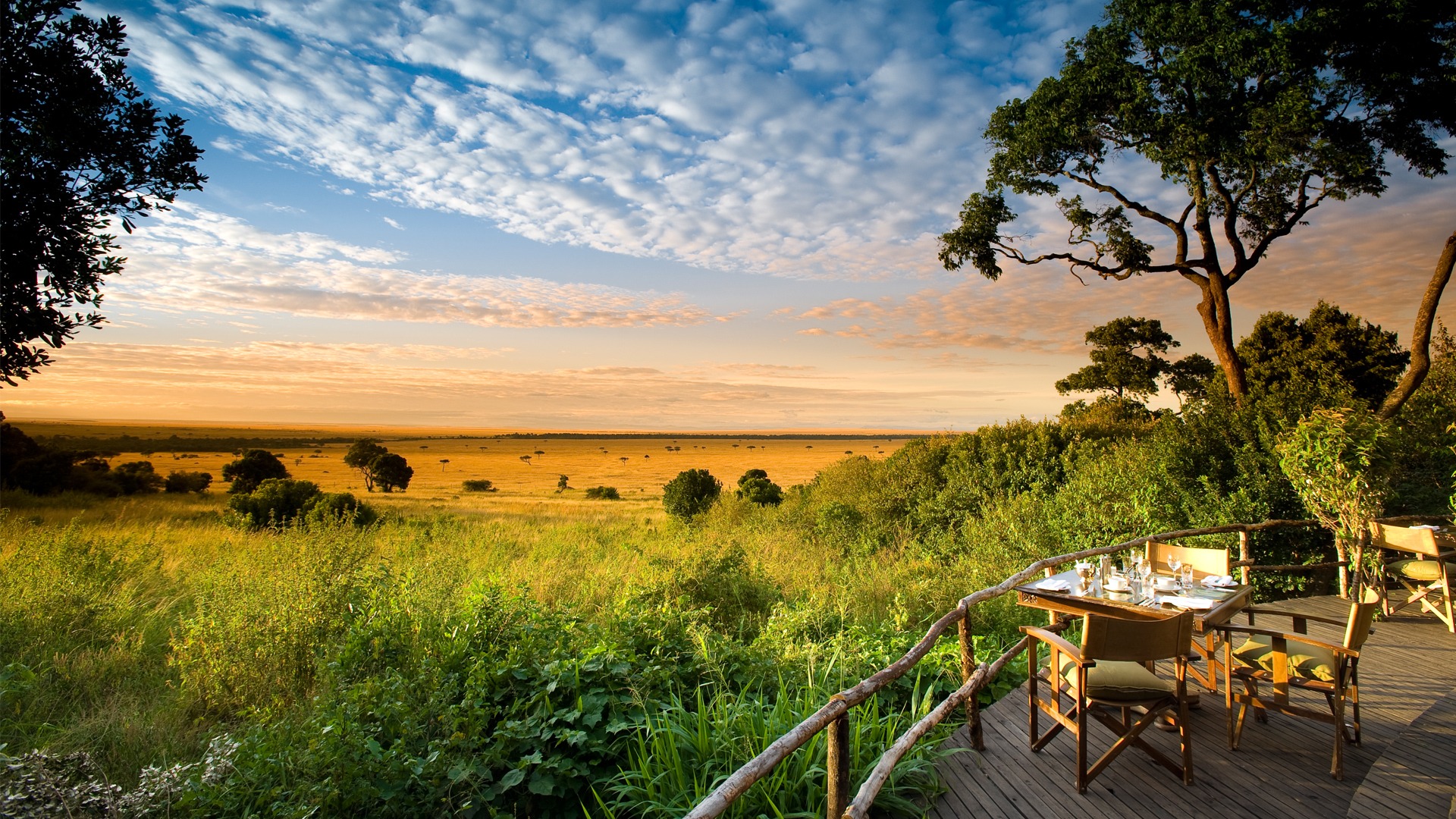 Kenya Safari Tours – Handcrafted Luxury African Safaris
