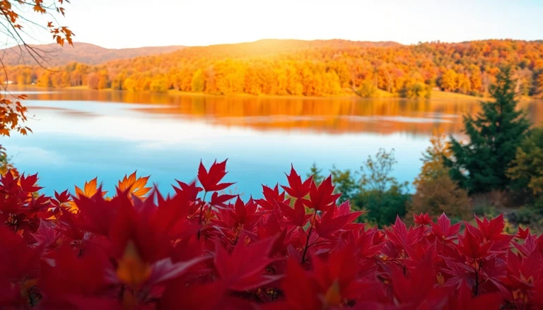 Clarksburg autumn landscape showcasing vibrant colors and a serene lake view.